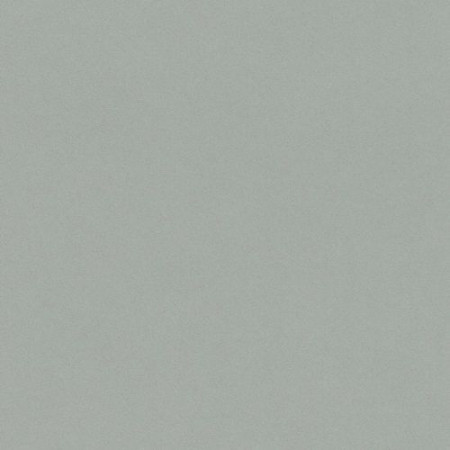 Обои Rasch Crispy Paper 527032