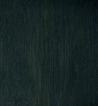 Обои Elitis Matt texture (RM 606 62)